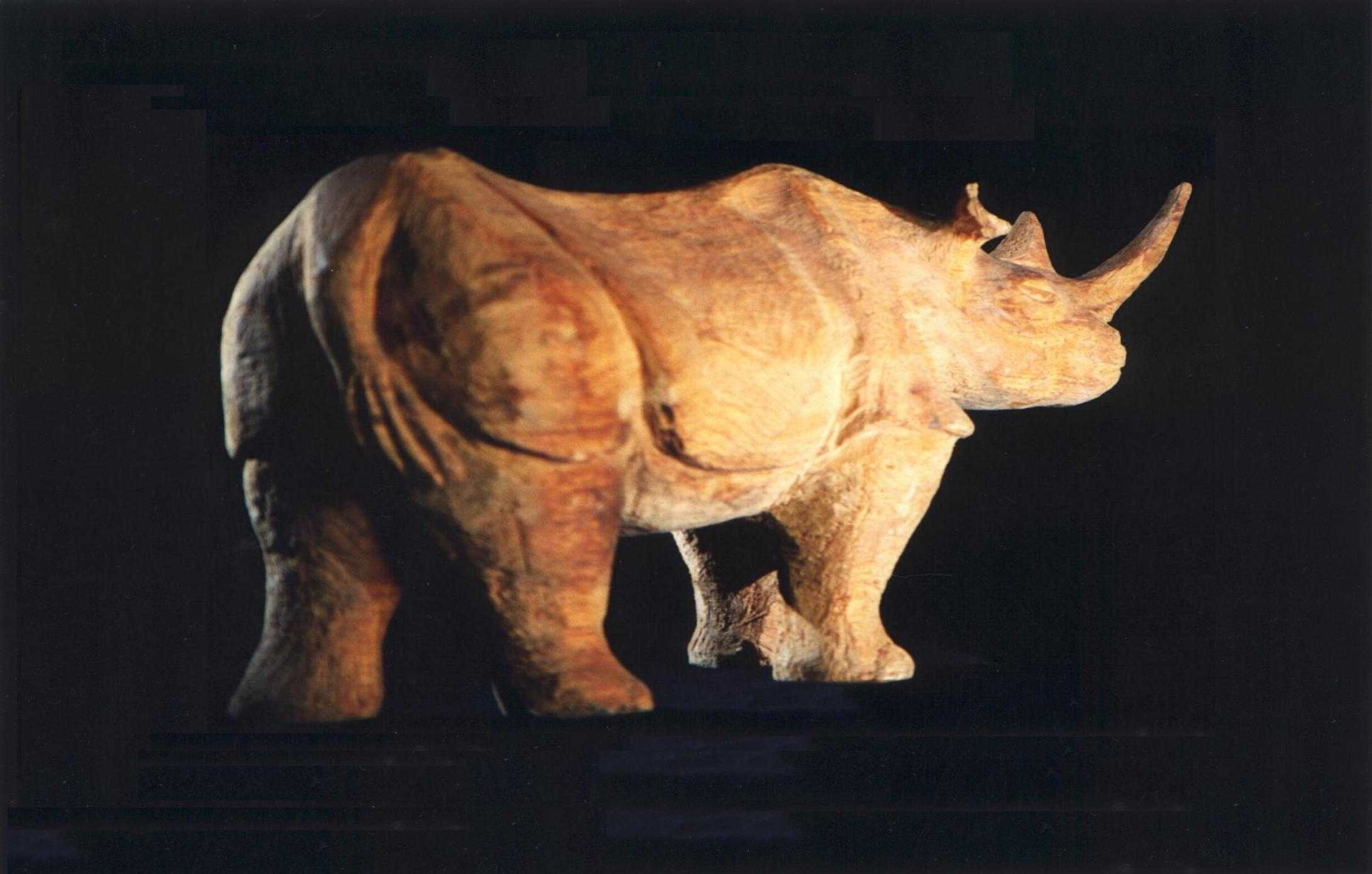 rhinoceros